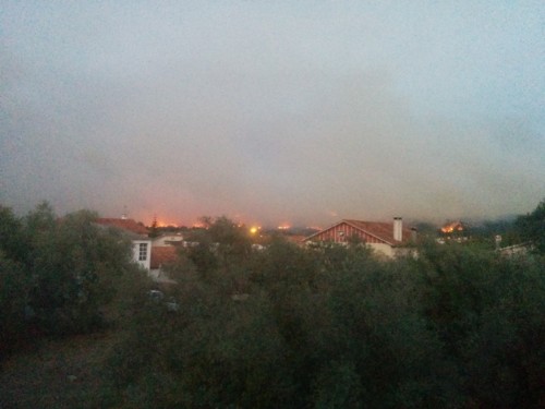 2017-10-15 19.13.25.jpg