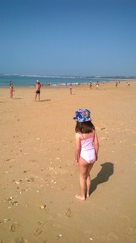 WP_20170413_10_47_59_Pro.jpg WP_20170413_10_47_59_Pro.jpg