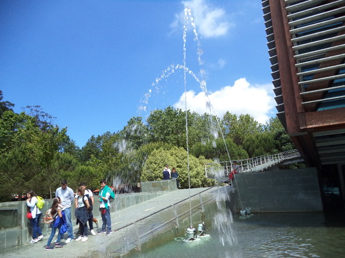 DSC00990.JPG DSC00990.JPG