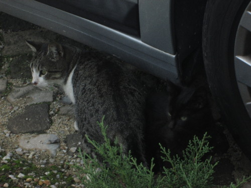 IMG_5192.JPG IMG_5192.JPG