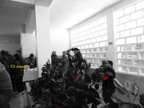 Feira do Queijo Em Seia !!! 157.jpg