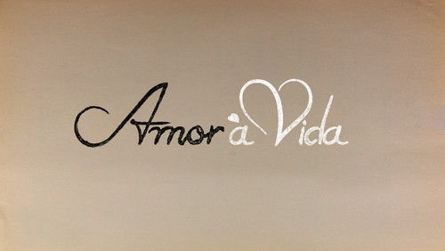 amor à  vida - logo