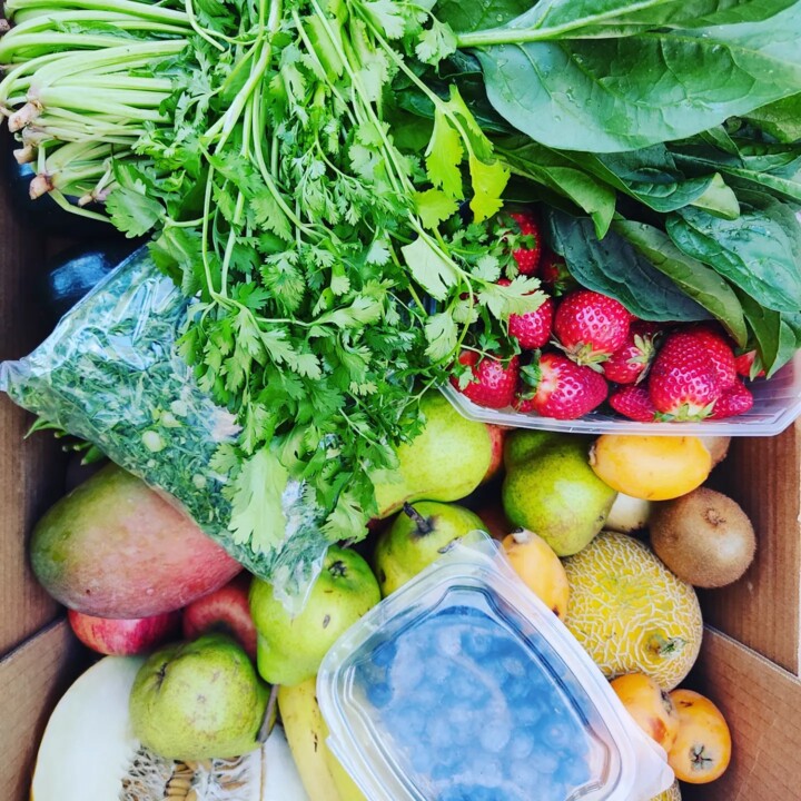 440752019_822933276530751_2158680094693967620_n.jp