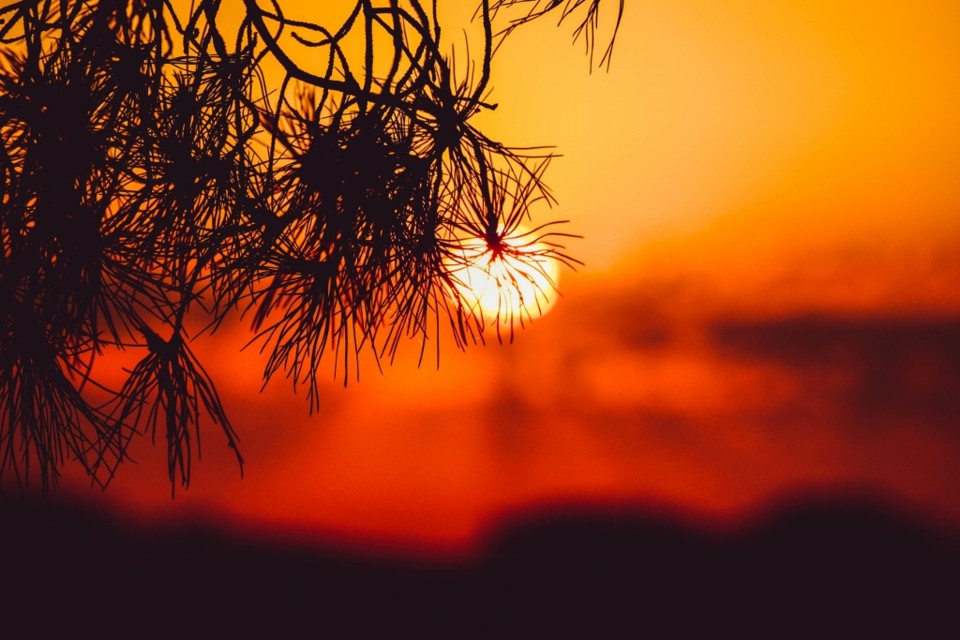 miradouro da graça 10.jpg