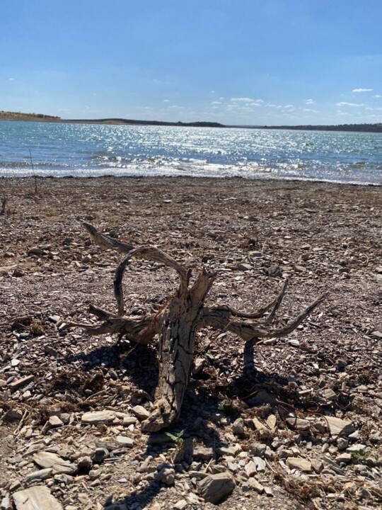 WhatsApp Image 2023-03-01 at 22.00.16 (9).jpeg