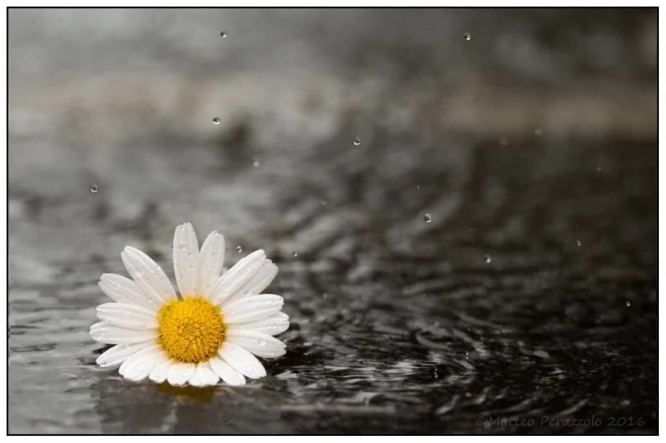 caricamento-temporaneo-per-contributo-ceo1xu7yhp-5