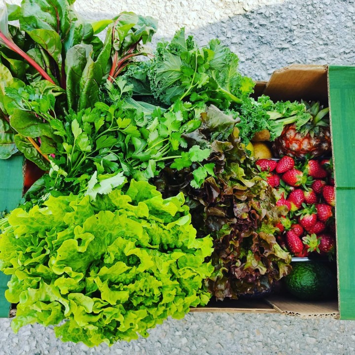 157666530_1967403973399354_826596668791081219_o.jp