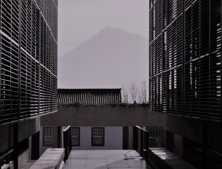 Pico 26fev21 (3).jpg