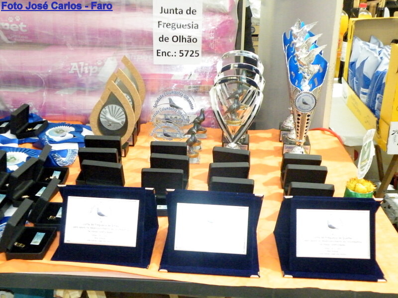 DSCF5038 - Cópia.JPG