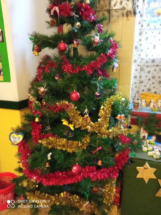 IMG_20201203_083550.jpg IMG_20201203_083550.jpg