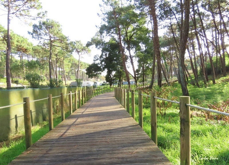 128179889_10225202118746589_5485378837079327310_n.