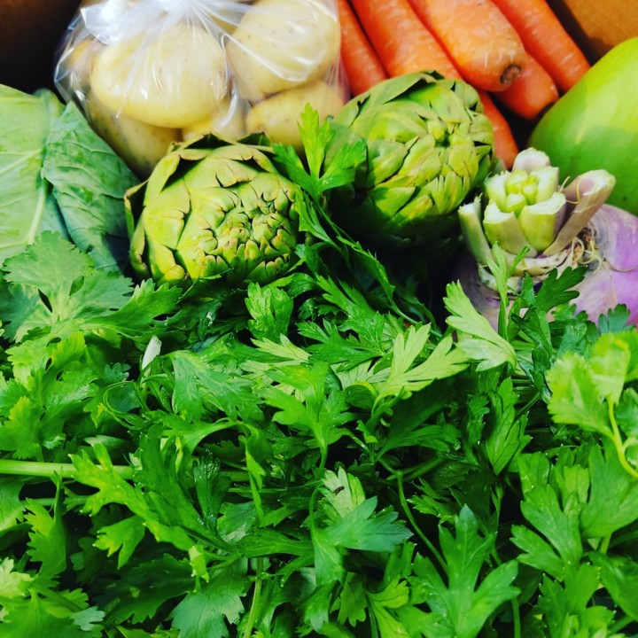 254360831_2161884160618000_1282358346387949222_n.j