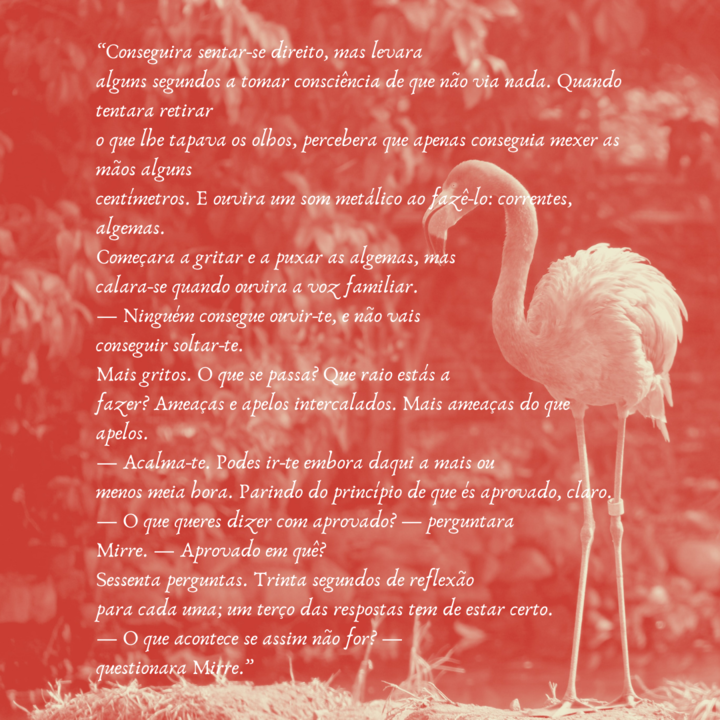 OCastigoDosIgnorantes3.png OCastigoDosIgnorantes3.png