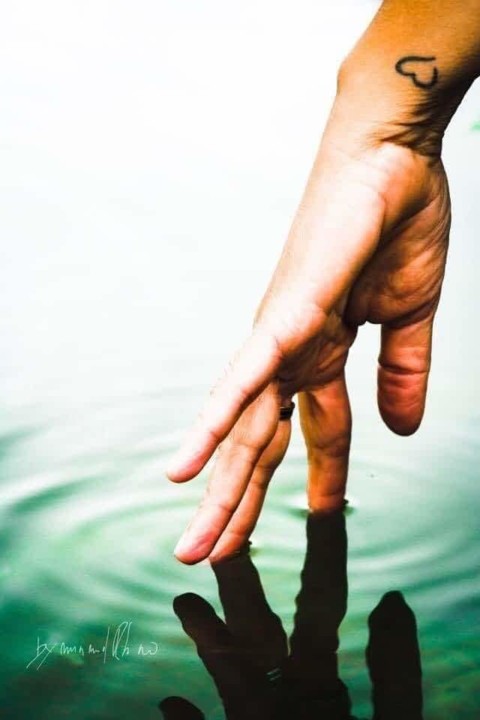 FB_IMG_1625000879048.jpg FB_IMG_1625000879048.jpg