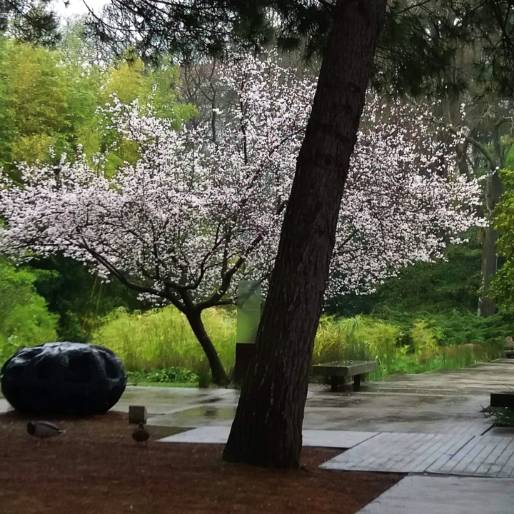 IMG_20200303_104407_549 (1).jpg