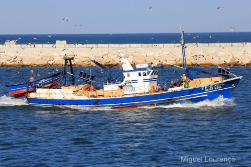 13495203_1051784514909447_4404392203896493672_n.jp