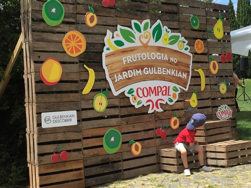 IMG_4448.JPG IMG_4448.JPG