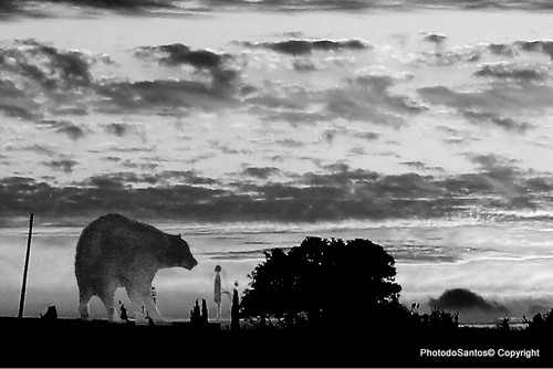 IMG_3560a_ (2)_ (3)_tonemappedAnd2more_tonemappeda