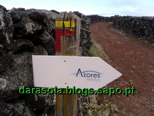 azores_pico_criacao_velha_22.JPG