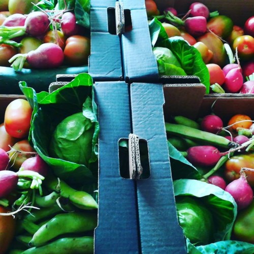 33398257_1100640750075685_1501611933520887808_n.jp 33398257_1100640750075685_1501611933520887808_n.jp