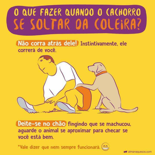 27752009_1022252391279158_4983693148639835982_n.pn