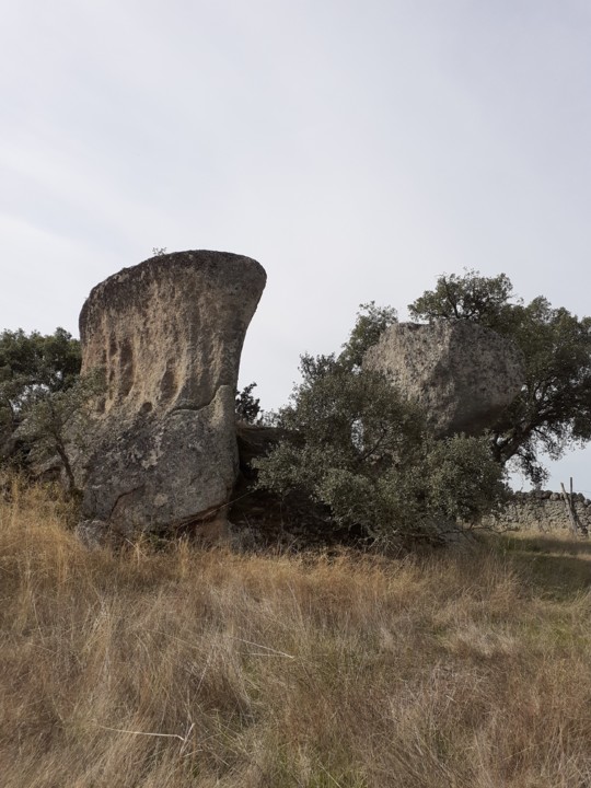 Rochas Cogumelos II. Foto original. 2021.10.09.jpg