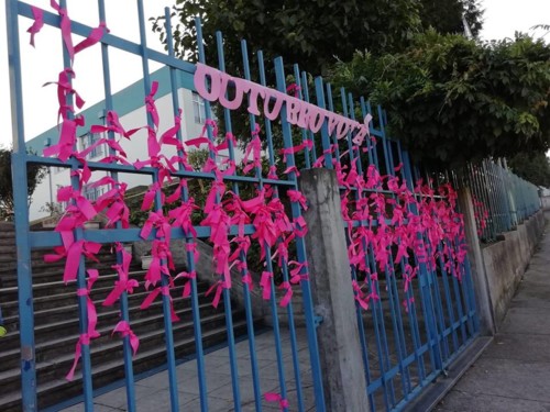 44465546_1995492407140573_9087251015572389888_n.jp