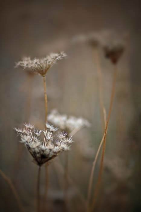 “Destiny is not a matter of chance; it’s a mat