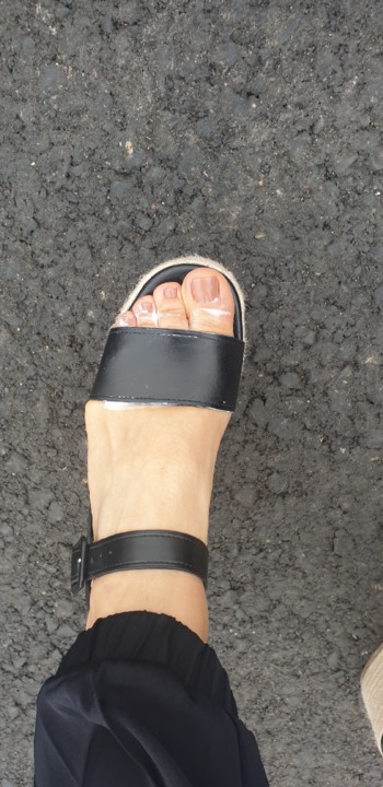 20190716_090049.jpg 20190716_090049.jpg