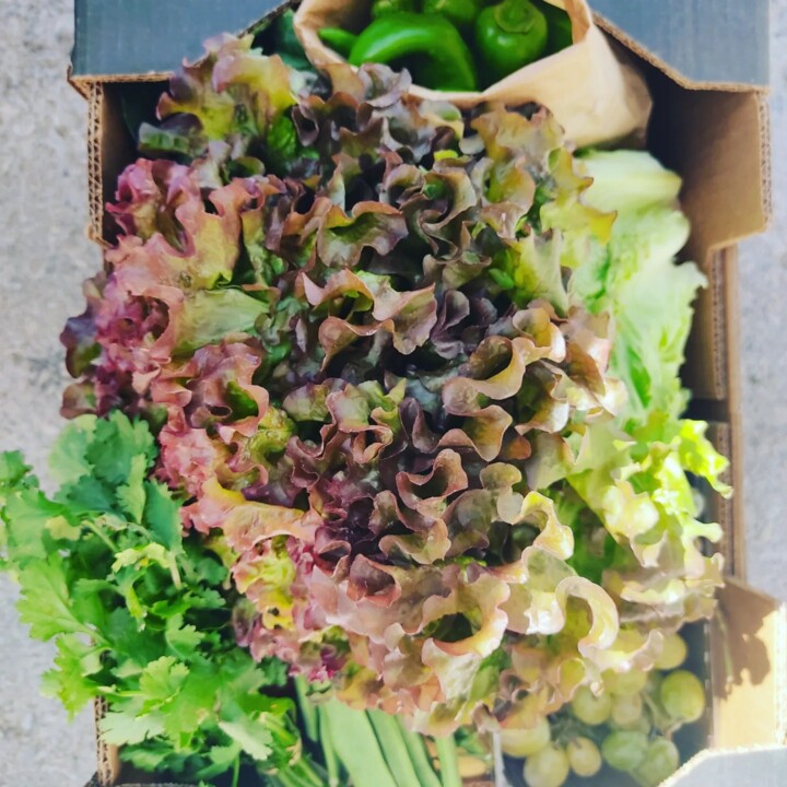 458950071_907941334696611_7222252664240229509_n.jp