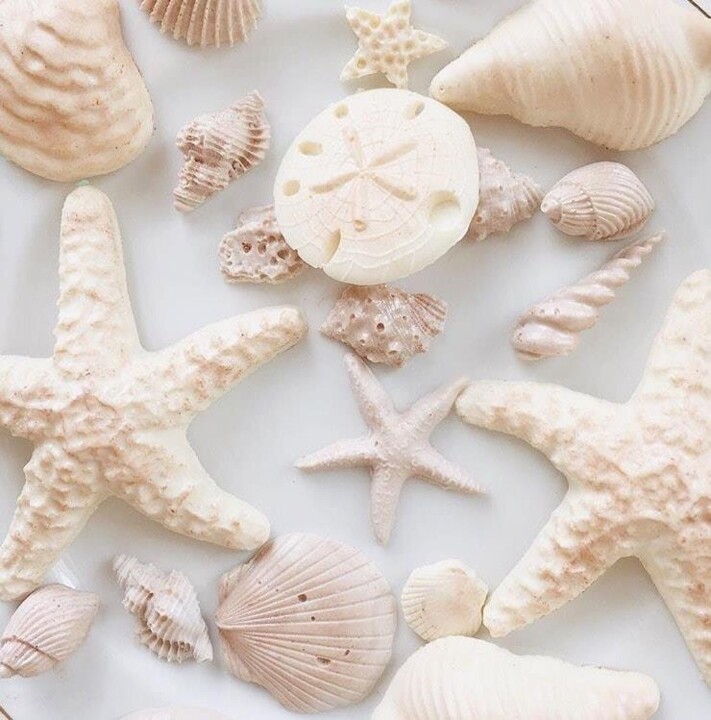 46502325_1872078189554711_5606361085100687360_n.jp