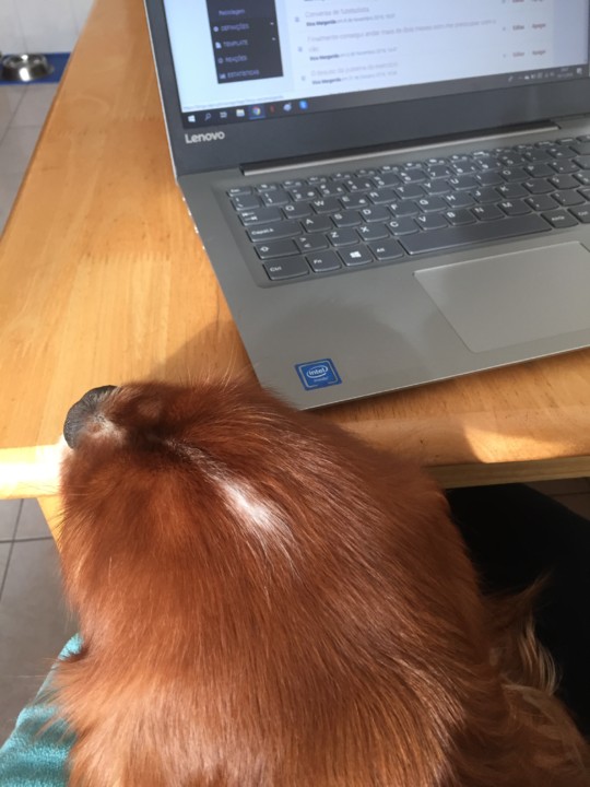 IMG_0884.JPG IMG_0884.JPG