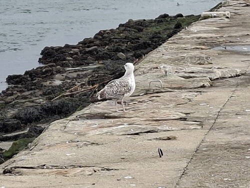 11b_São_Jacinto (12).jpg