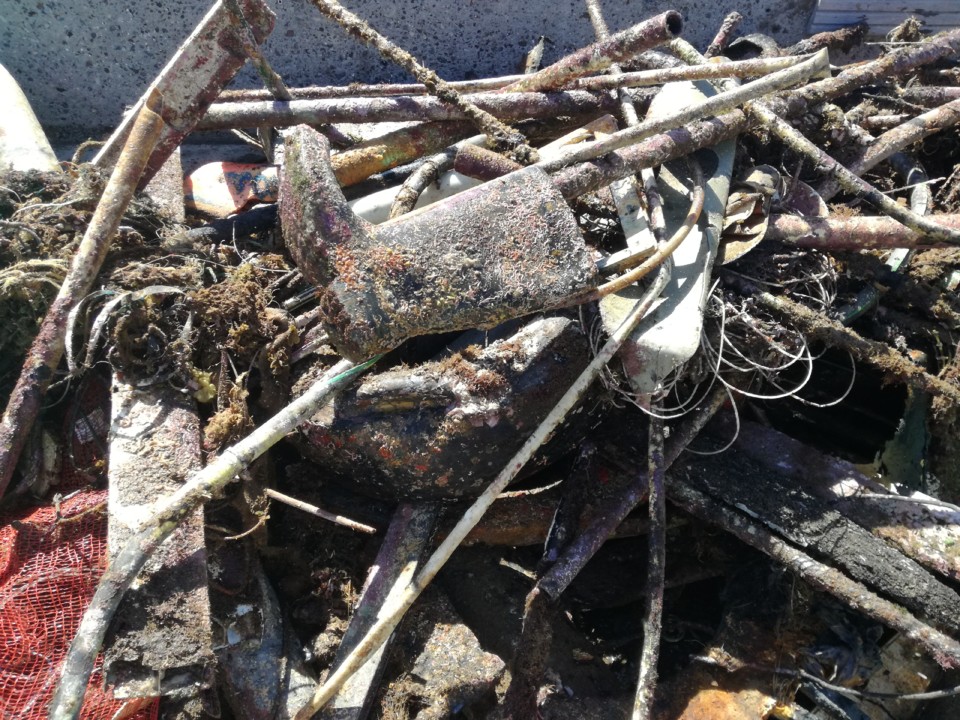 IMG_20190602_112516.jpg IMG_20190602_112516.jpg