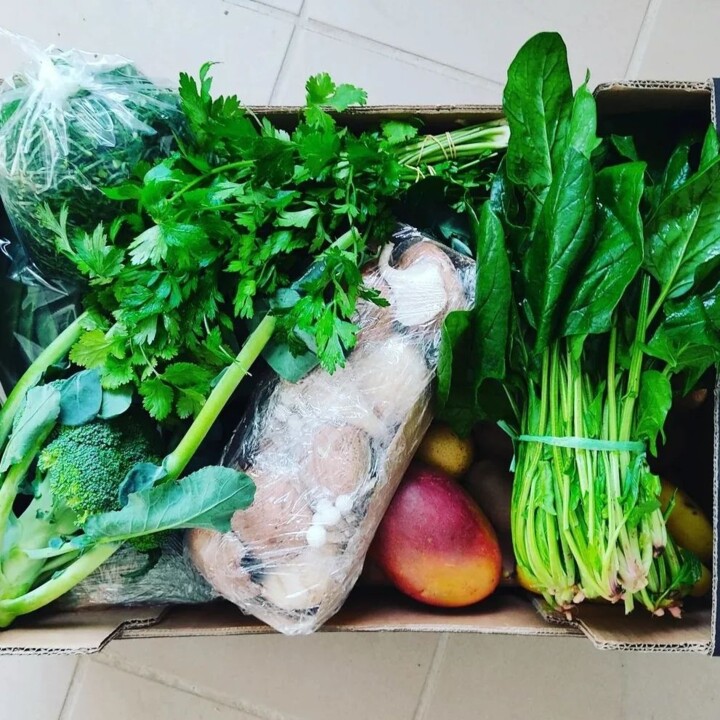 341056159_590923286326902_6138363606815885199_n.jp