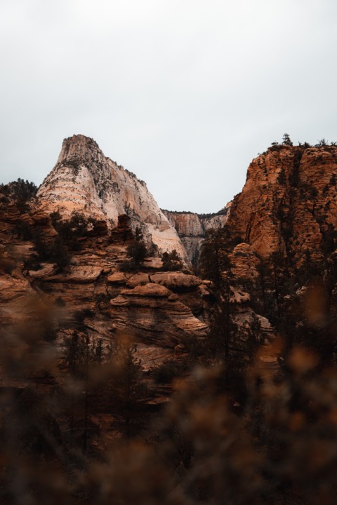 A vida, o trabalho, a queda, Roberto Gamito