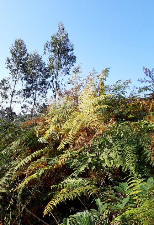 20210611_074657.jpg 20210611_074657.jpg