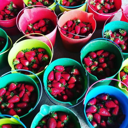 54514364_1322029644603460_958611832606556160_n.jpg 54514364_1322029644603460_958611832606556160_n.jpg