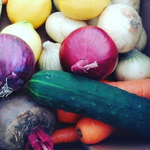 18091502_1777526942264236_8124445040027107328_n.jp