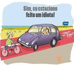 idiota papagaio opinião.jpg