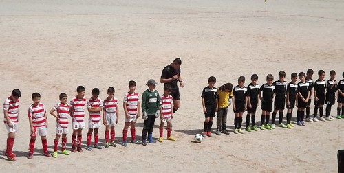 Benjamins B.Milheiroense 3 SJVer 1 Benjamins B.Milheiroense 3 SJVer 1