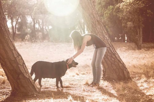 13886841_1745045805759185_3866049889952648346_n.jp