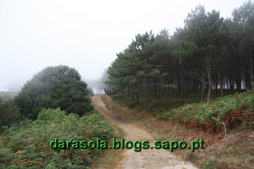 Ilha_Ons_12.JPG Ilha_Ons_12.JPG