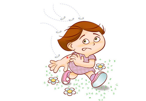 coeira.jpg coeira.jpg