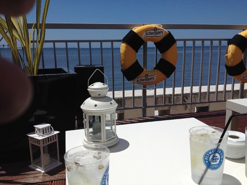 fotografia 4 (1).JPG