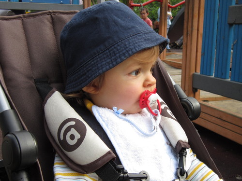 IMG_2175.JPG IMG_2175.JPG