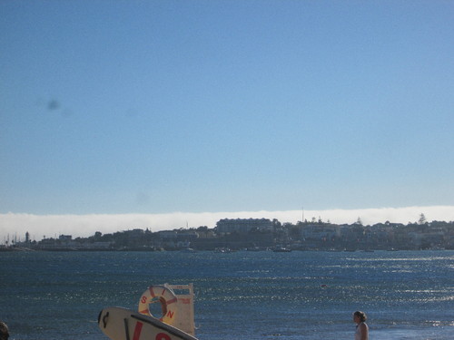 IMG_4490.JPG IMG_4490.JPG