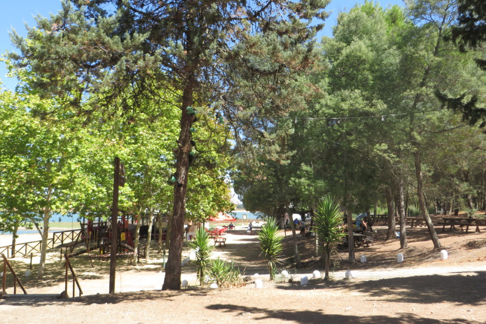 IMG_4031.JPG IMG_4031.JPG