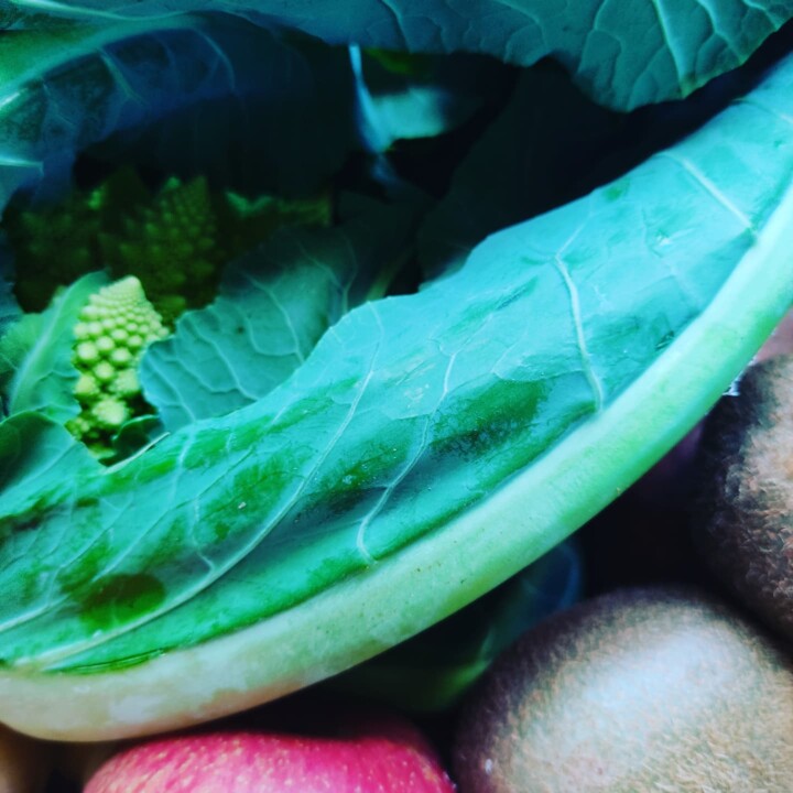 474086858_1004637928360284_5223002393223567588_n.j