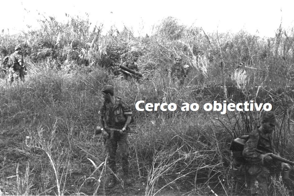 ...Mapota-fora dos trilhos!.jpg